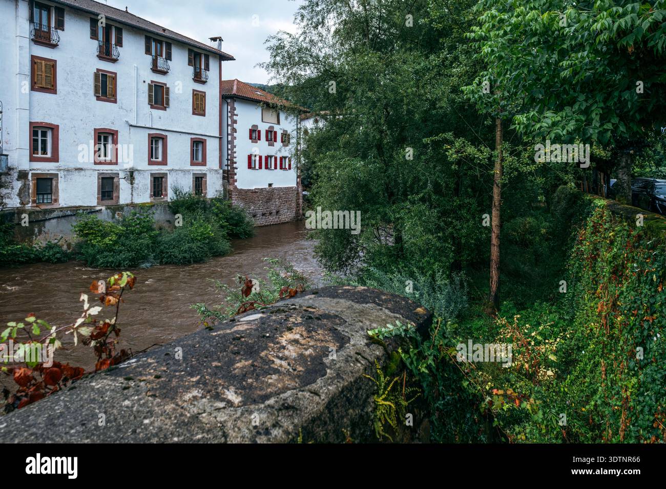 Traditional Houses by the Baztan River in Elizondo, Navarra, Spain, Lush Green Trees Stock Photo