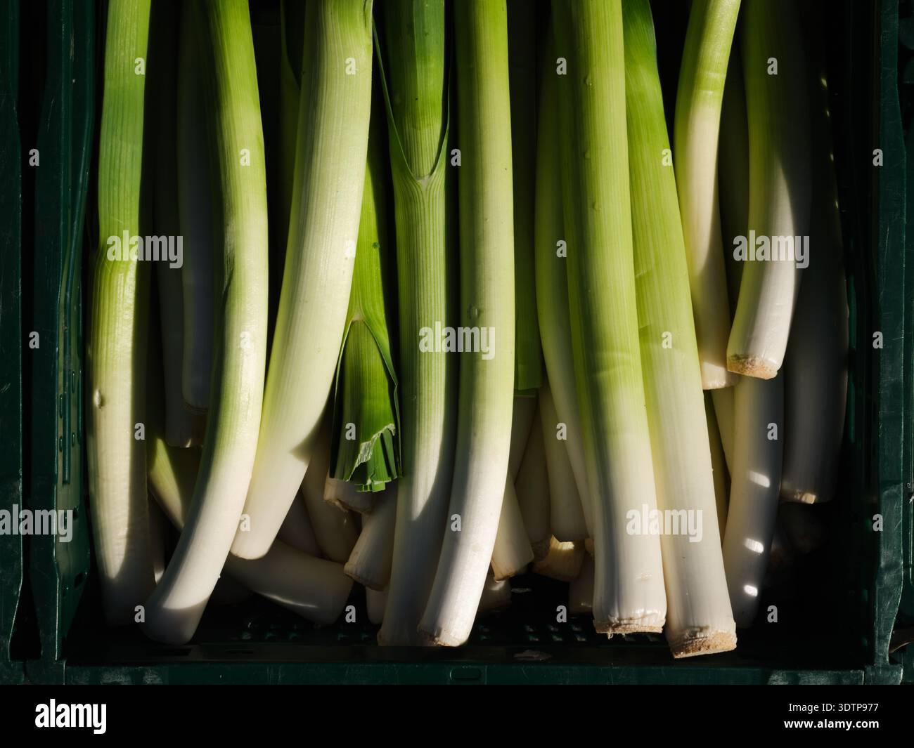 Leaks on display at a market stall. Stock Photo