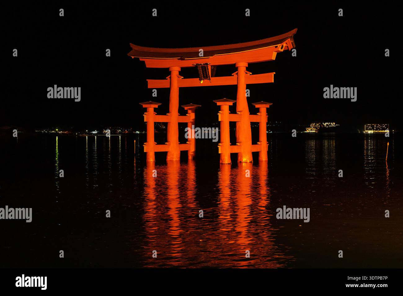 The iconic red torii gate of Itsukushima Shrine glows over calm waters ...