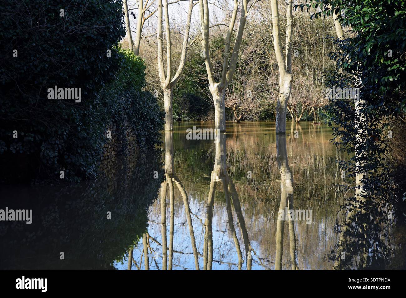 Flood of the Garonne in Podensac, near Bordeaux, in Gironde, France on ...