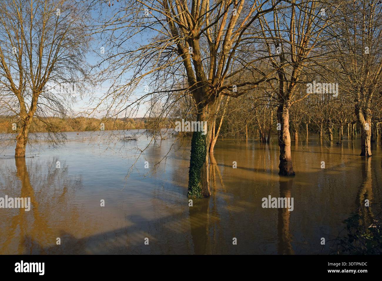 Flood of the Garonne in Podensac, near Bordeaux, in Gironde, France on ...