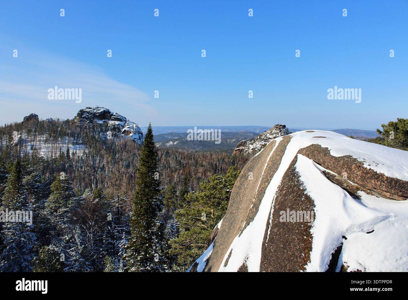 Snow capped mountains and evergreen forest under clear blue sky in ...