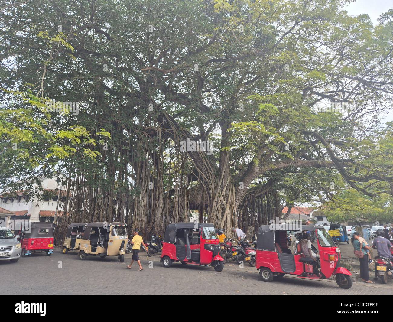 Cobblestone roads sri lanka hi-res stock photography and images - Alamy