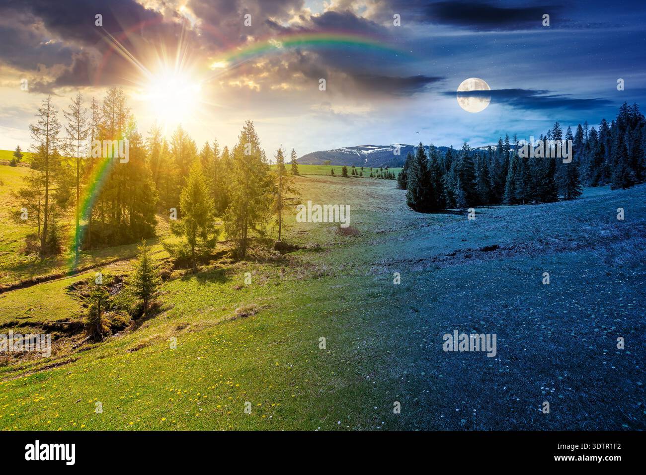 mountain landscape during spring. day meet night. sun and moon over peaceful countryside scenery with coniferous forest near grassy field. beautiful r Stock Photo
