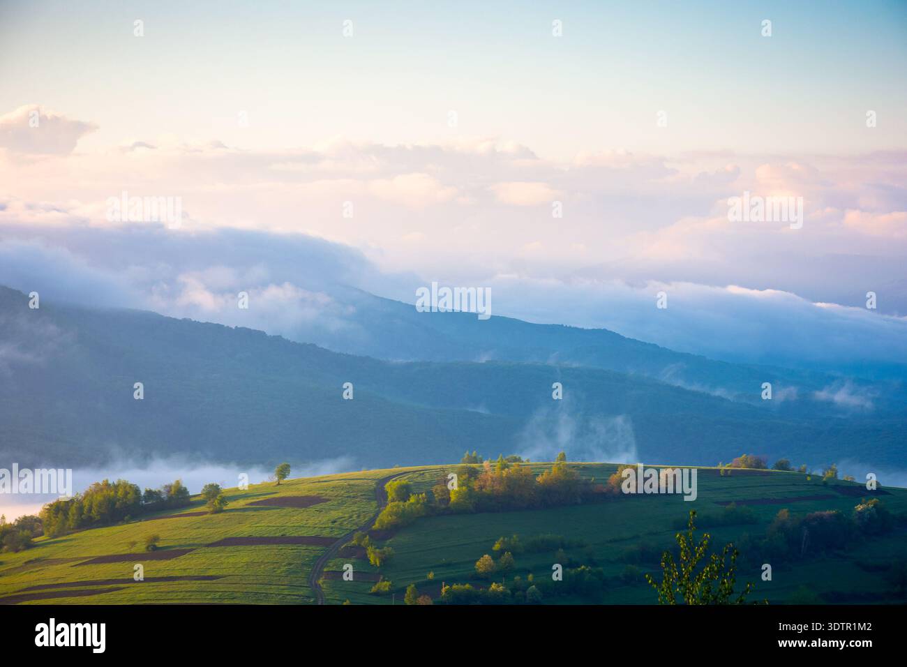 mountain landscape in fog. countryside spring scenery with cloudscape rolling above peaks. fantastic view in to the valley full of cold mist. perechyn Stock Photo