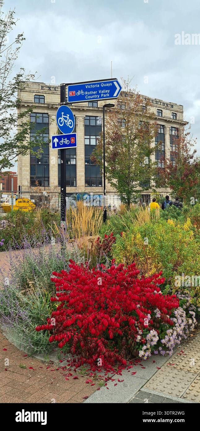 Sheffield Grey to Green urban planting scheme in the Castlegate Quarter of Sheffield city centre, South Yorkshire, England, UK - Smartphone Captured Stock Image