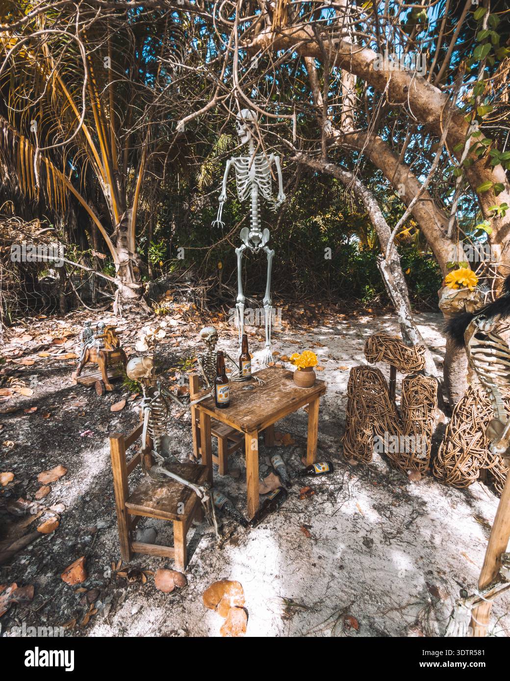 Day of the Dead themed skeleton figures sitting at rustic wooden table with beer bottles under tropical trees in Holbox, Mexico. Stock Photo
