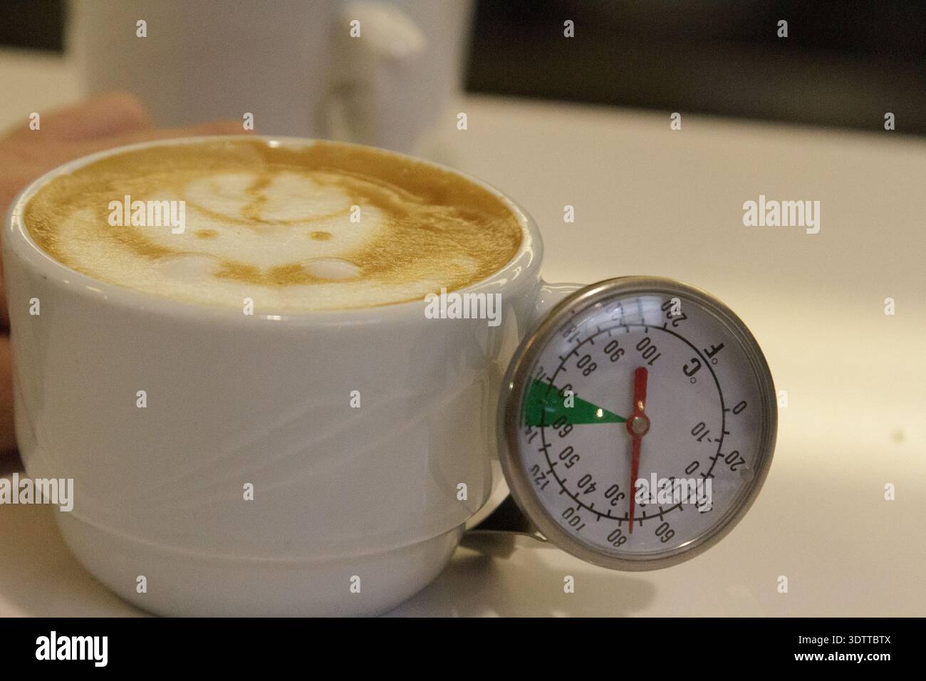 Coffee Technician Measuring Brew Temperature, Cup With Latte, Metal Probe Thermometer Resting Against Ceramic, Stock Photo