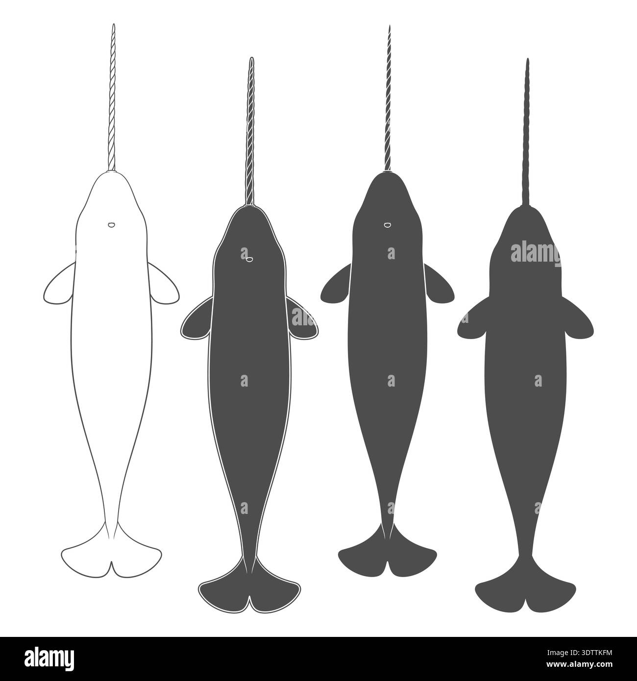 Set of black and white illustrations animal narwhal, sea unicorn. Isolated vector objects on white background. Stock Vector