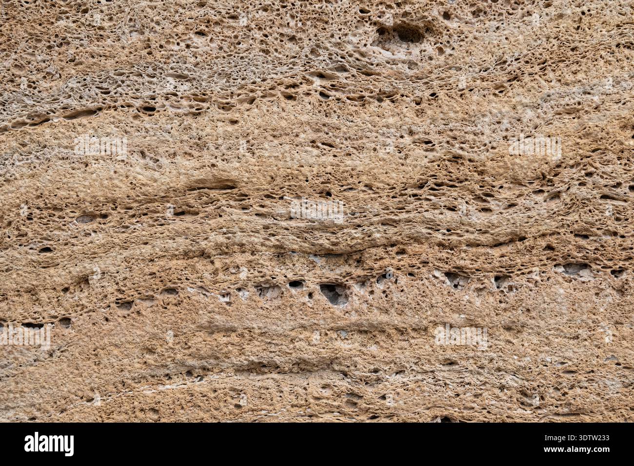 Highly porous and layered natural rock texture. High-detail background ...