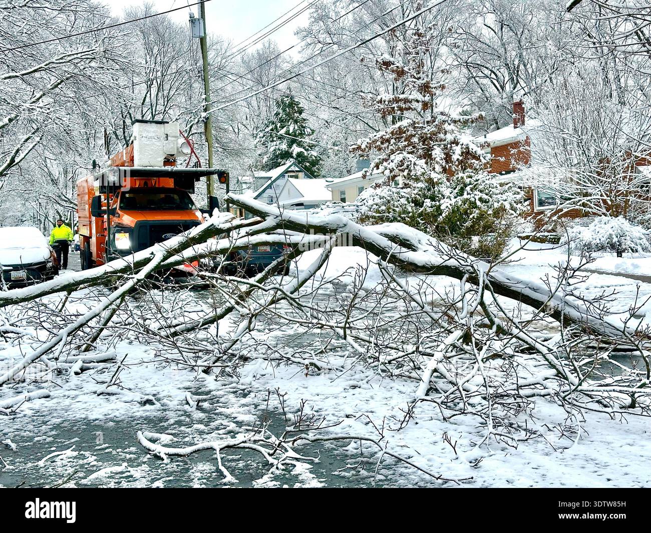 Winter snowstorm brings a large tree branch down across a road in suburban Maryland winter of 2026.  Tree crew is getting ready to remove it - Smartphone Captured Stock Image
