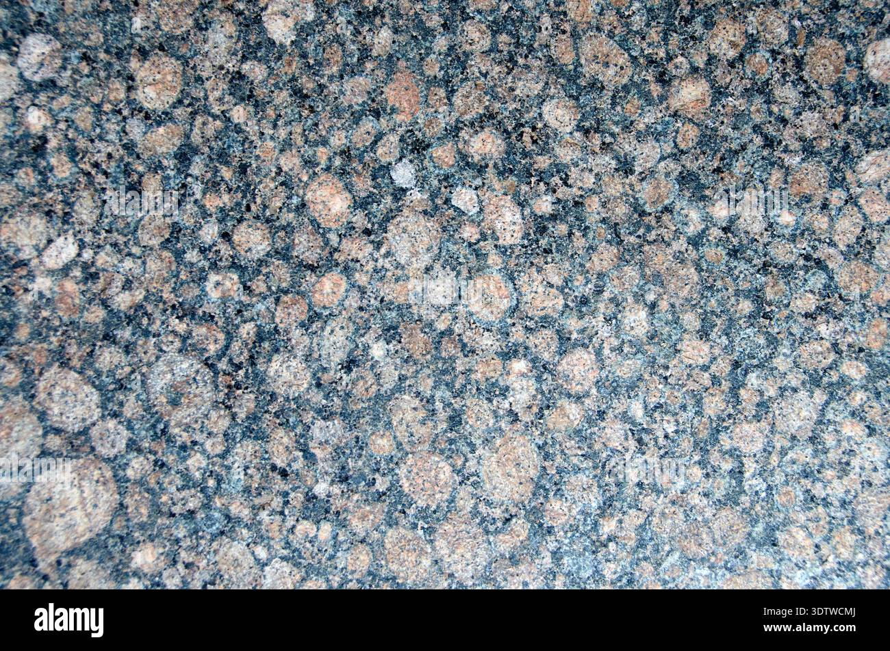 Showcasing rounded features hi-res stock photography and images - Alamy