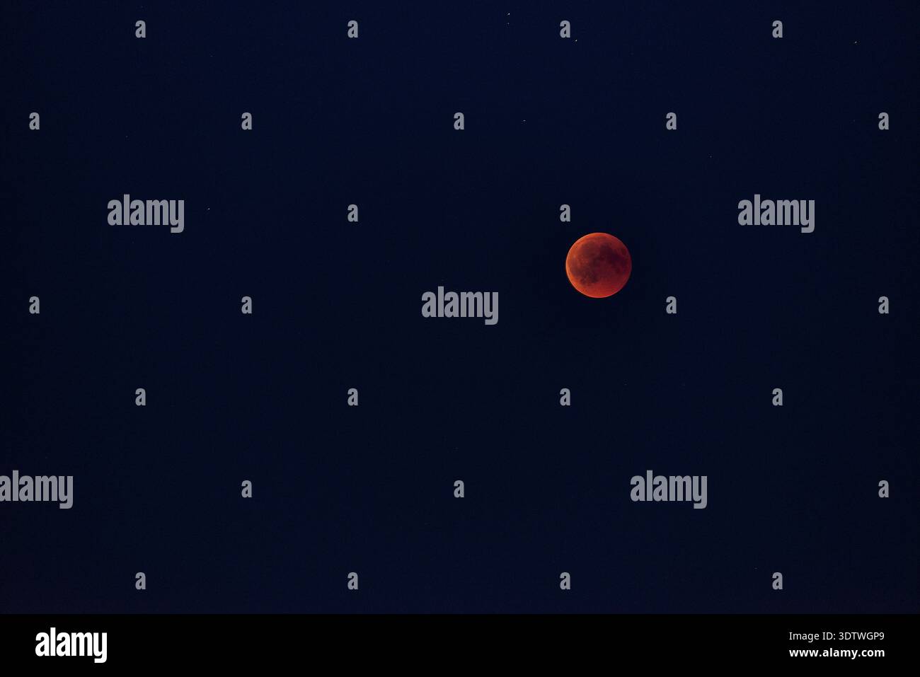 A striking photograph of a total lunar eclipse, often referred to as a blood moon, against a deep, dark blue night sky. The moon glows with a vivid re Stock Photo