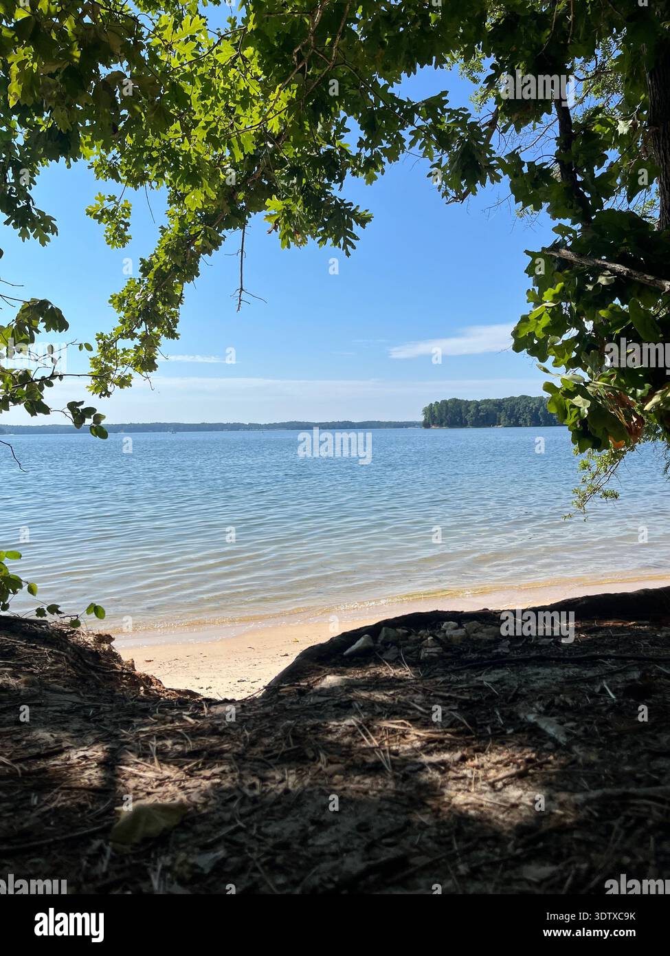 Beautiful calm lookout at Lake Lanier in GA on a bright clear sunny day. The fresh air and crisp colors bring excitement for what the day will bring. - Smartphone Captured Stock Image