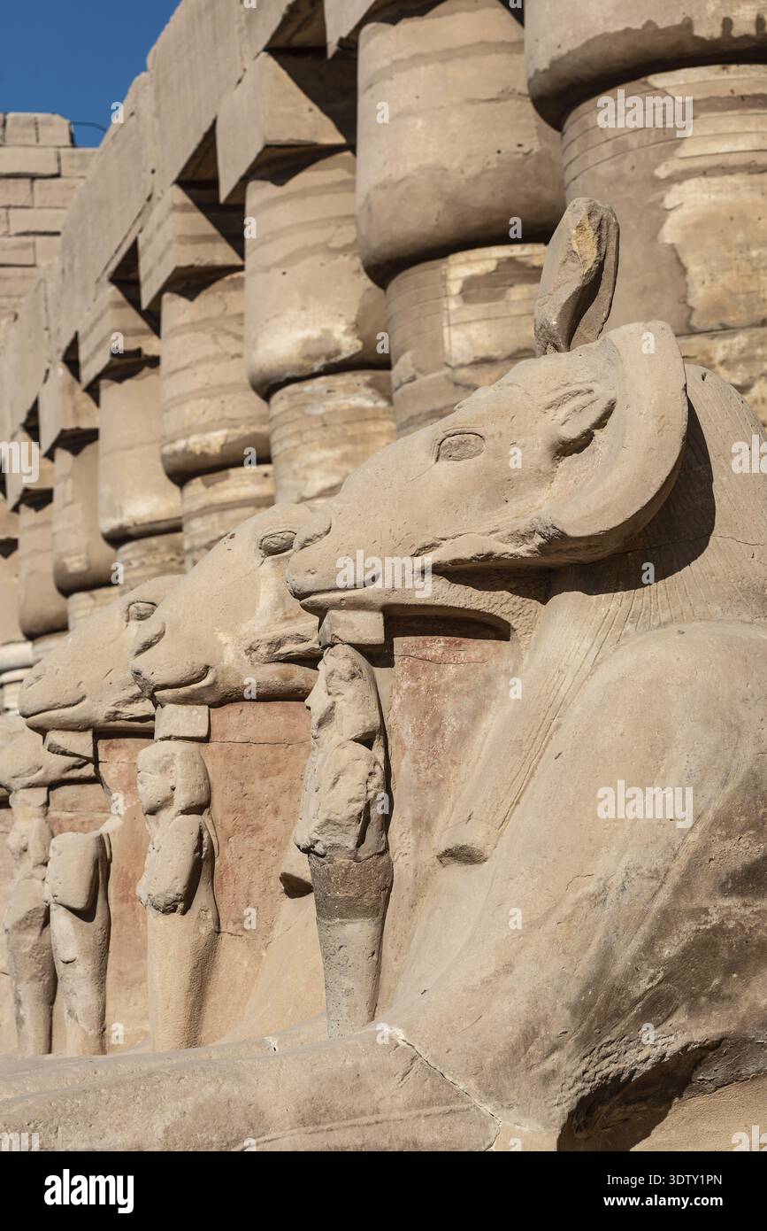 Sphinxes and ram-headed statues, lion's body with a ram's head, symbols ...