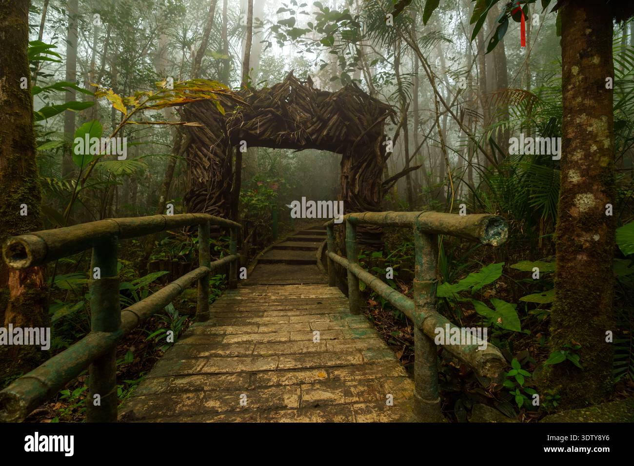 Forest Railing Scene Narrow forest path wooden handrail hi-res stock photography and images ...
