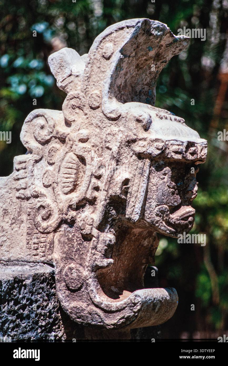 First Mayan Ruler Pyramid of the Magician, carved head of a priest or ruler emerging from ...