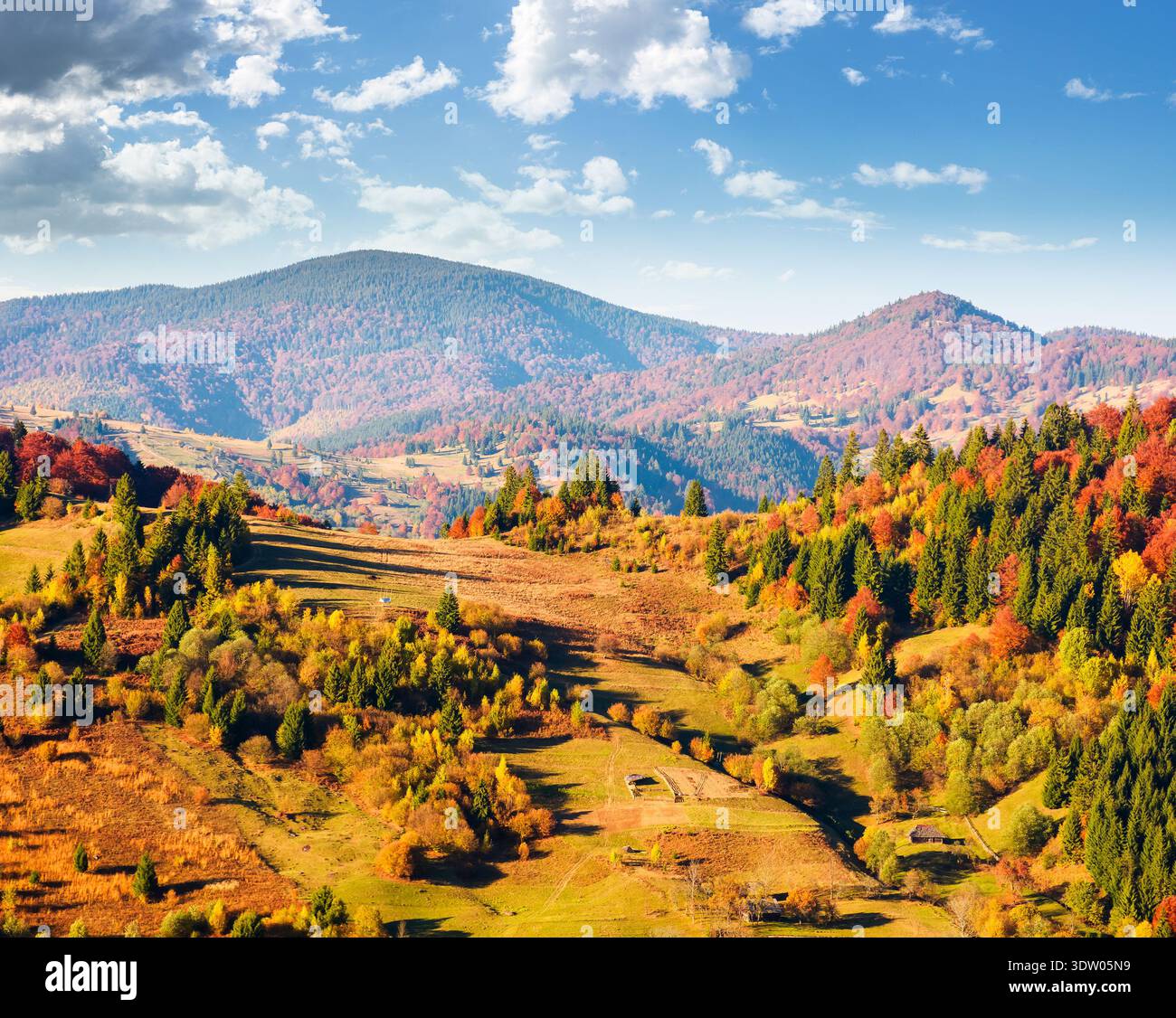 rural area in carpathian mountains autumn landscape on a sunny afternoon. beautiful countryside scenery ukraine with rolling hills under blue sky. pic Stock Photo