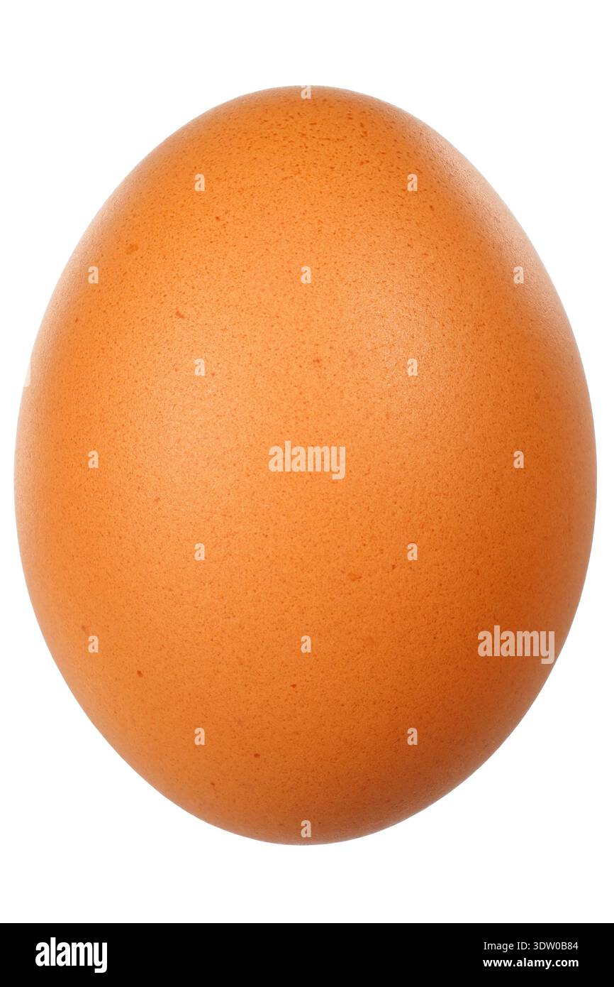 Single brown egg isolated on white background Stock Photo