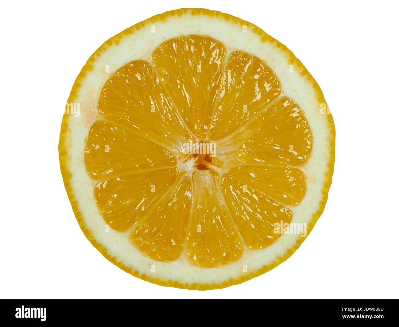 Lemon slice isolated on white background Stock Photo