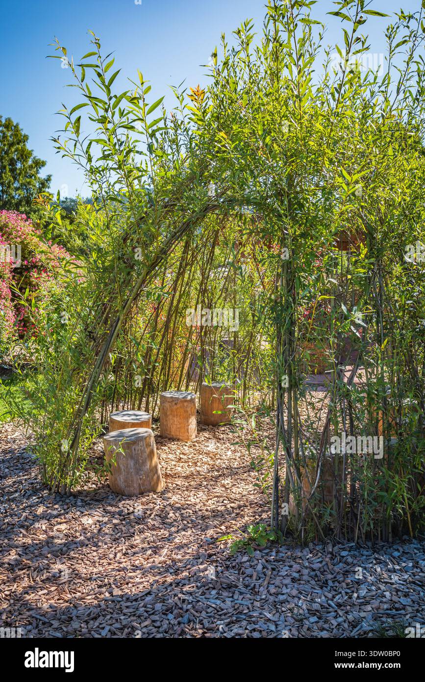 Natural seating area with woodean seats and bamboo plants providing shade Stock Photo