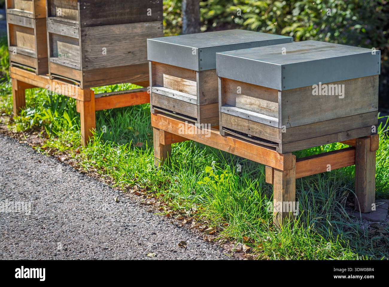 Bee hives in farm field hi-res stock photography and images - Alamy