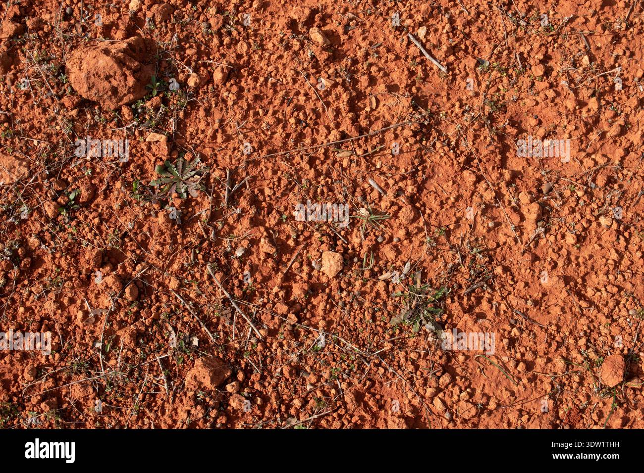 Textura de suelo arcilloso rojo en el campo con pequeñas piedras y restos de vegetación Stock Photo
