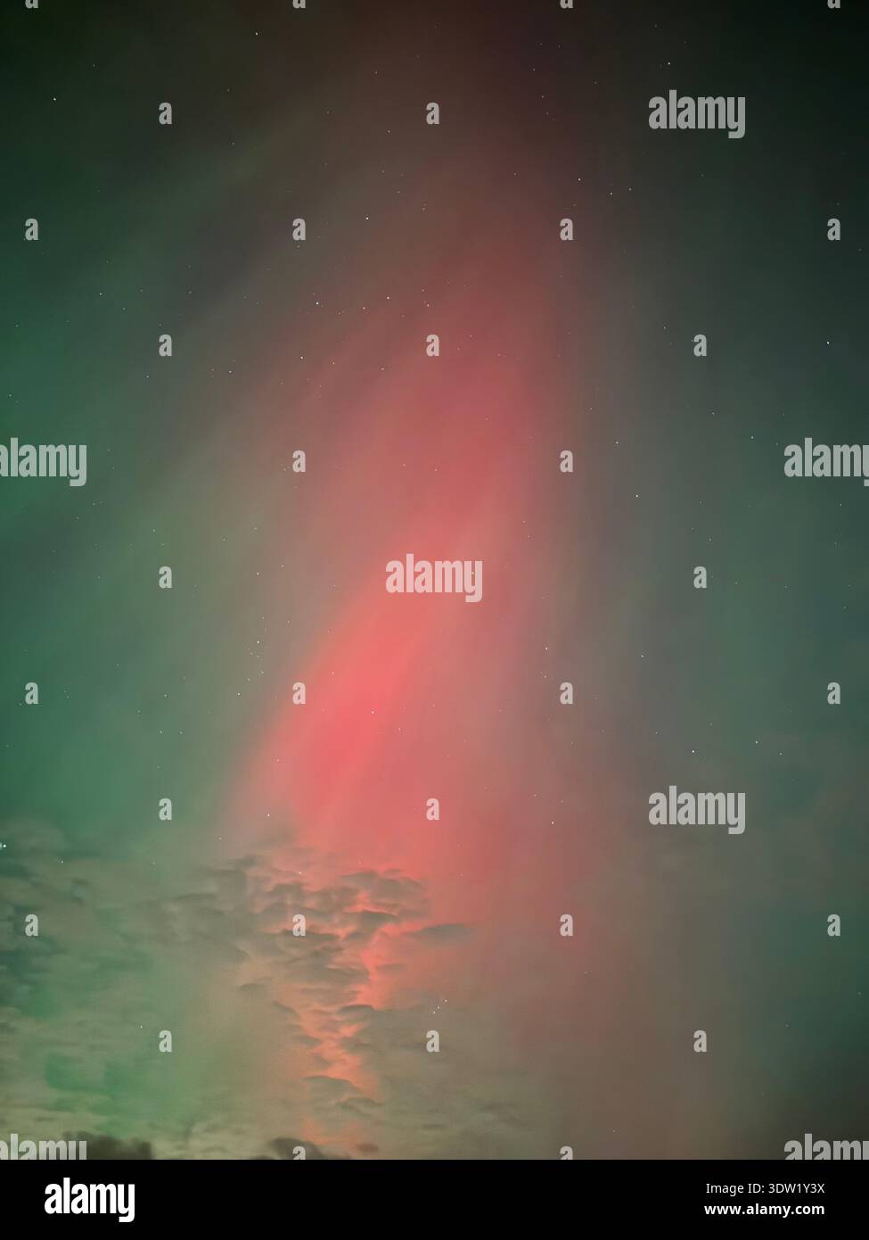 Northern Lights (aurora borealis) displaying red and green vertical rays above rural landscape near Dalry, North Ayrshire, Scotland, UK, on 25 October - Smartphone Captured Stock Image