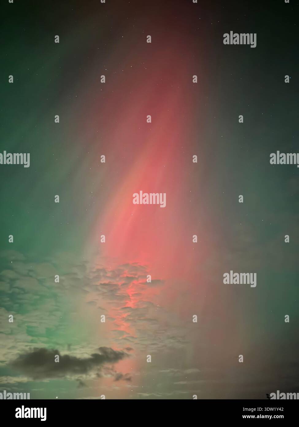 Northern Lights (aurora borealis) displaying red and green vertical rays above rural landscape near Dalry, North Ayrshire, Scotland, UK, on 25 October - Smartphone Captured Stock Image