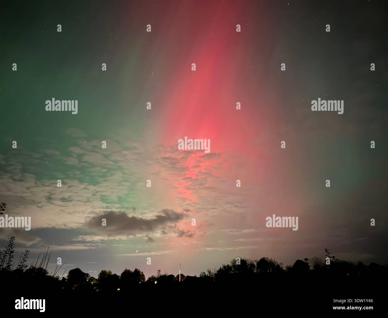 Northern Lights (aurora borealis) displaying red and green vertical rays above rural landscape near Dalry, North Ayrshire, Scotland, UK, on 25 October - Smartphone Captured Stock Image