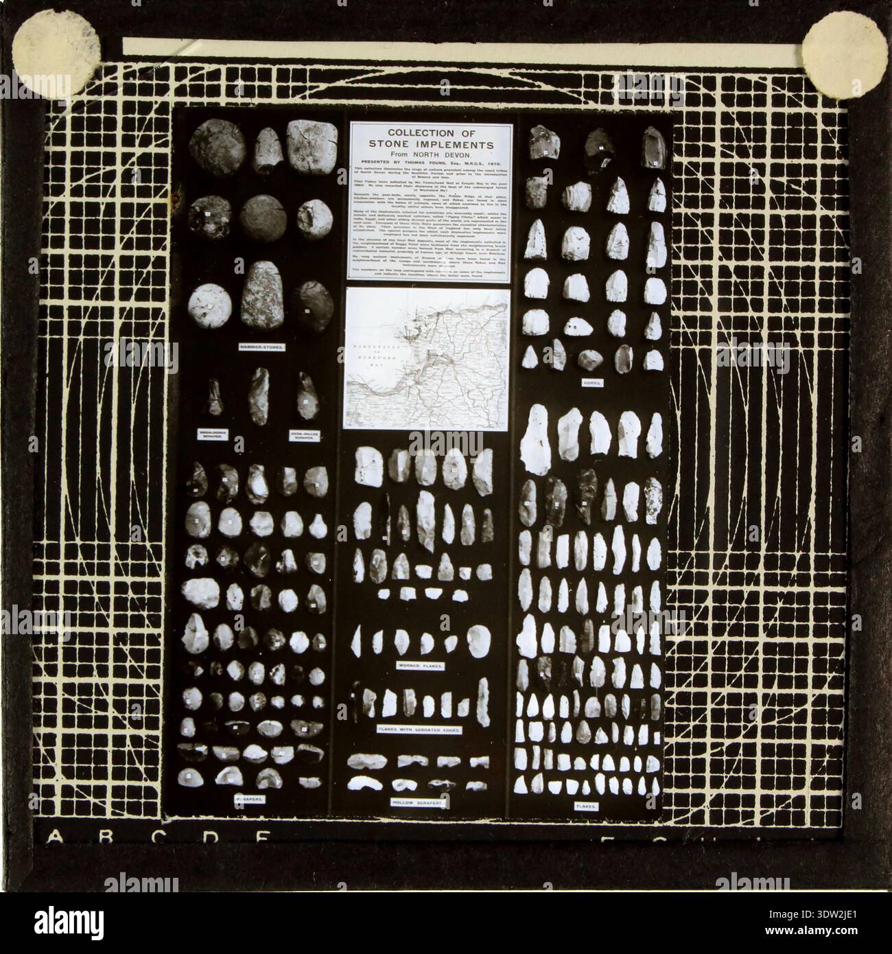 Labelled specimen case hi-res stock photography and images - Alamy