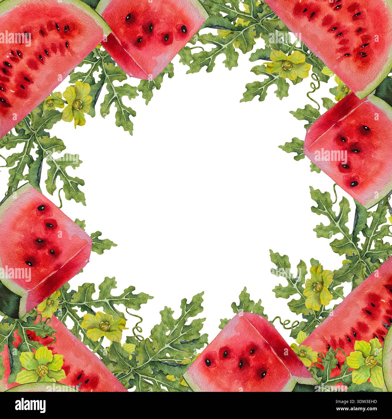 Square watermelon hi-res stock photography and images - Alamy