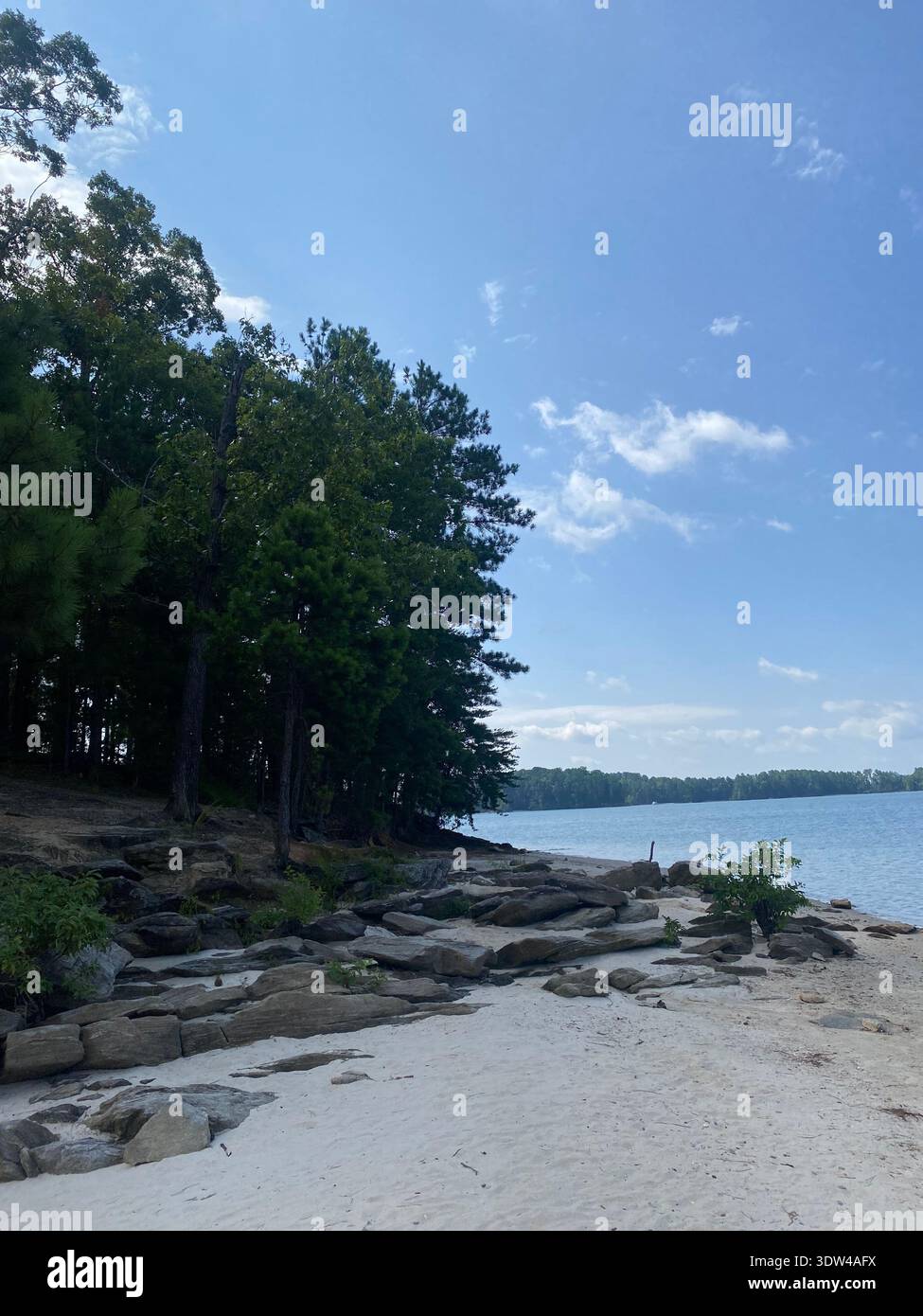Peninsula with beautiful exposed rocks and sand from erosion and bright green leaves from Vans Tavern Park Gainesville, Georgia. - Smartphone Captured Stock Image