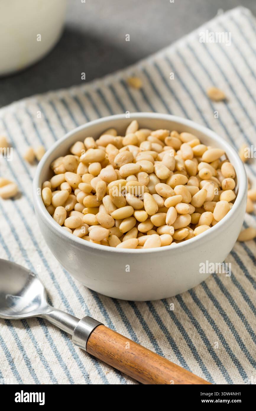 Raw White Organic Pine Nuts in a Bowl Stock Photo