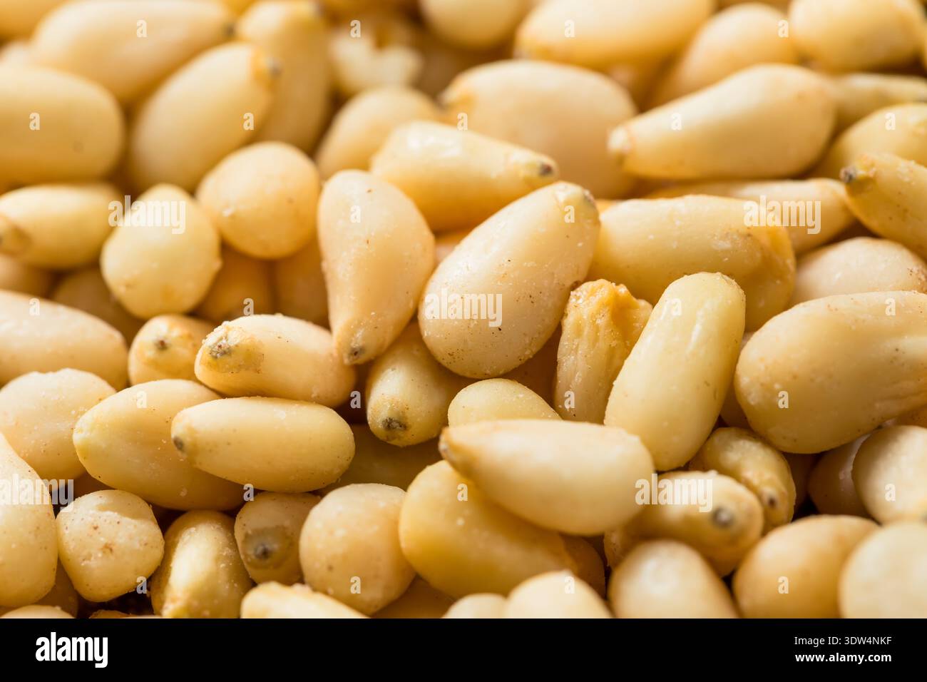 Raw White Organic Pine Nuts in a Bowl Stock Photo