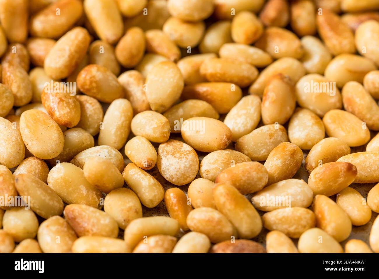Organic Cooked Roasted Pine Nuts in a Pan Stock Photo