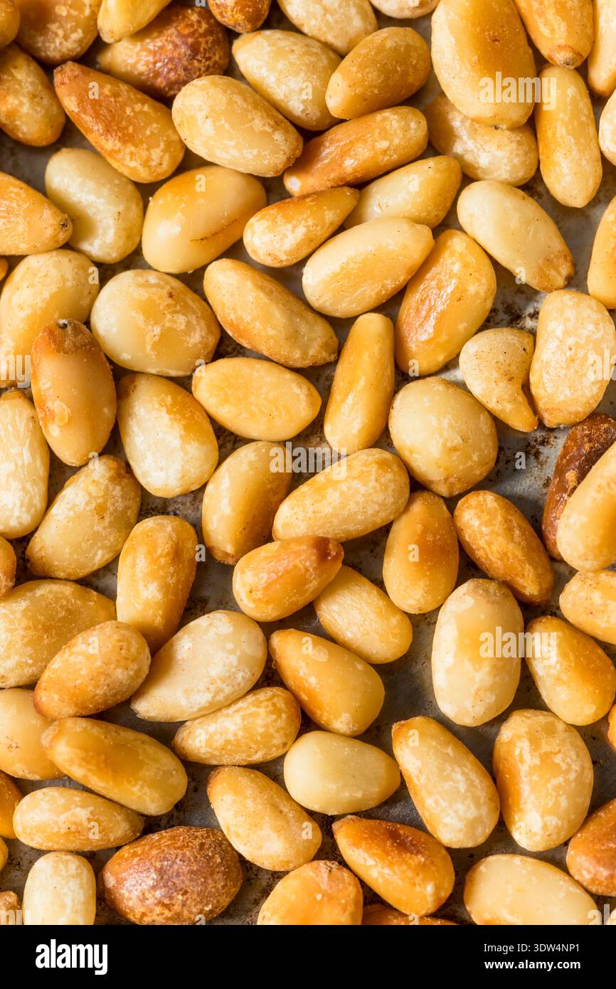 Organic Cooked Roasted Pine Nuts in a Pan Stock Photo