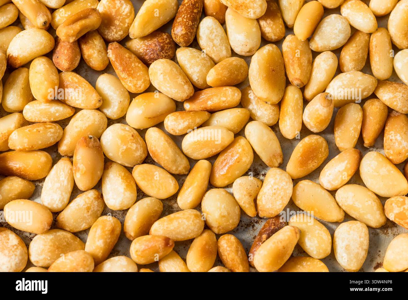 Organic Cooked Roasted Pine Nuts in a Pan Stock Photo