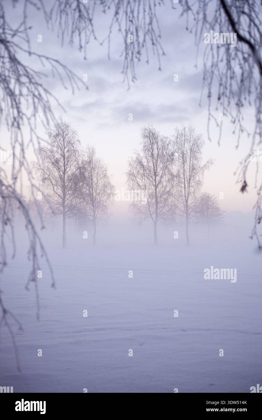 Snow Fading The image shows a quiet winter landscape with a snow-covered field and ...