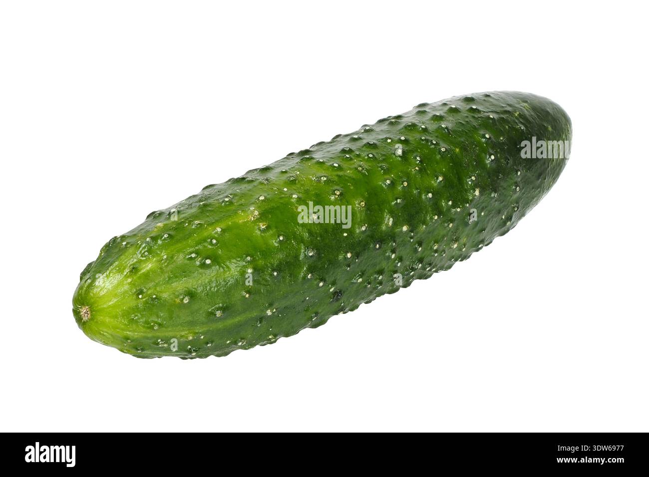 Cucumber isolated on white background Stock Photo