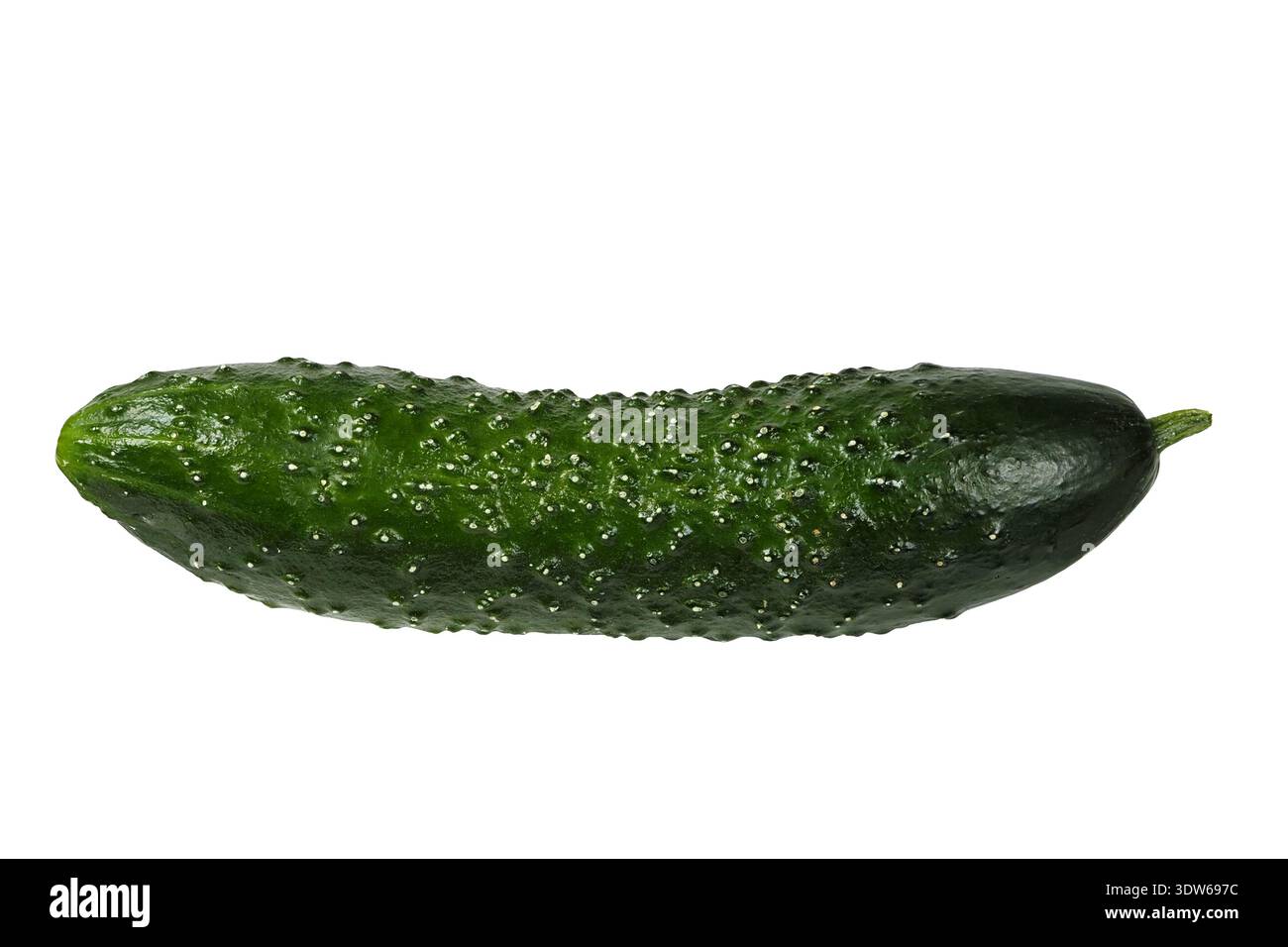 Cucumber isolated on white background Stock Photo