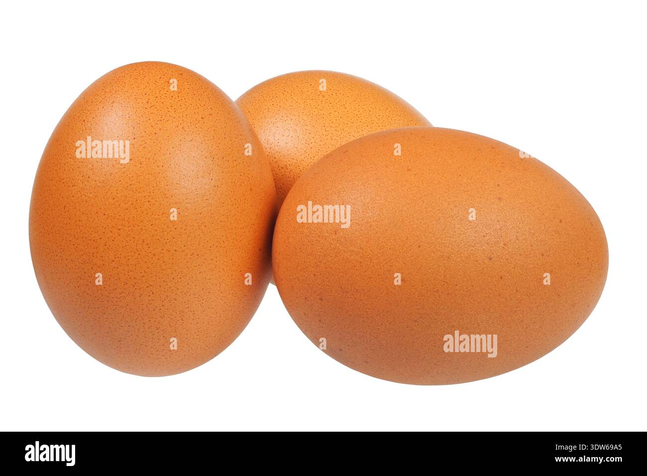 Three brown chciked eggs isolated on white background Stock Photo