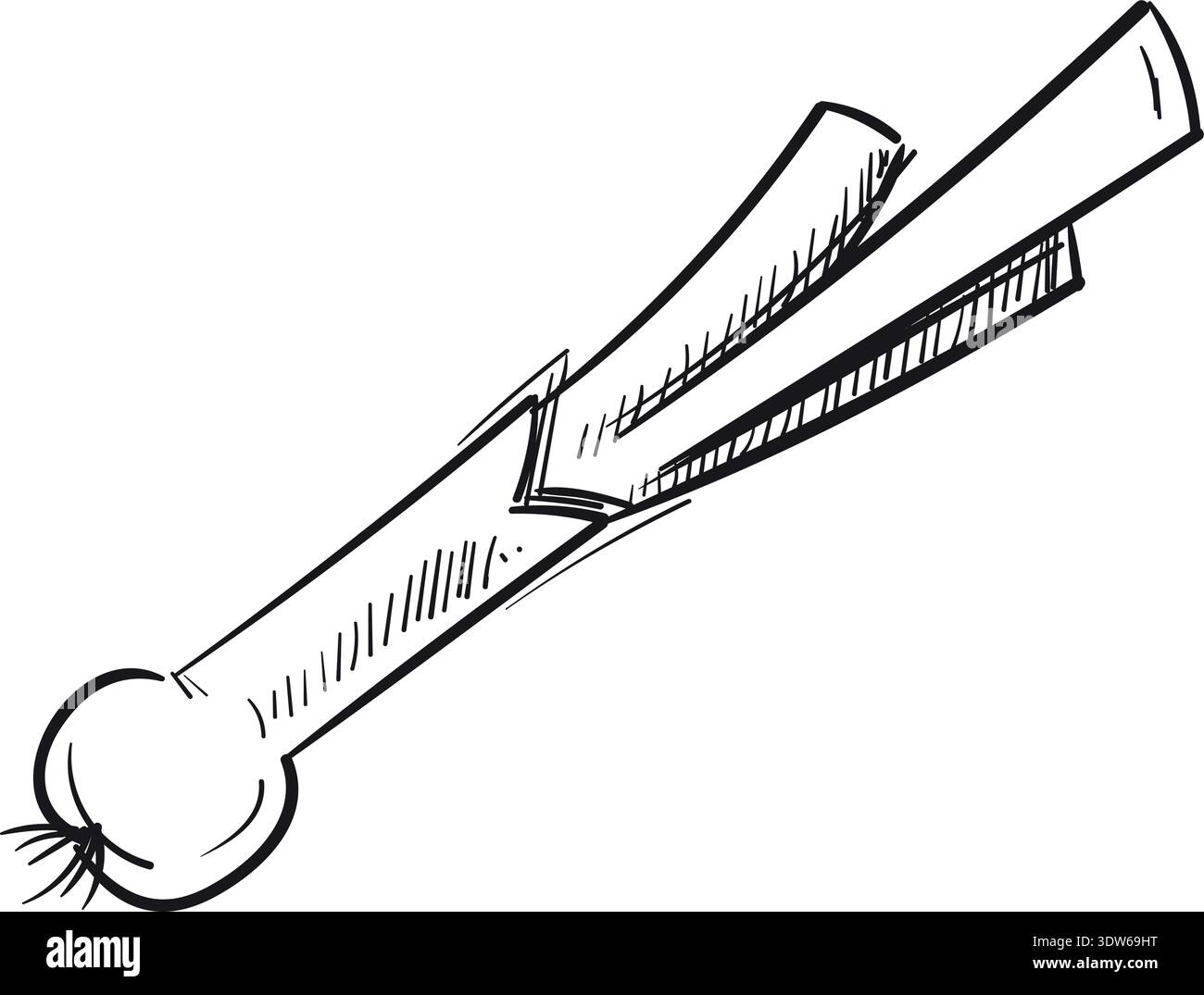 Spring onion doodle icon. Spicy vegetable drawing Stock Vector