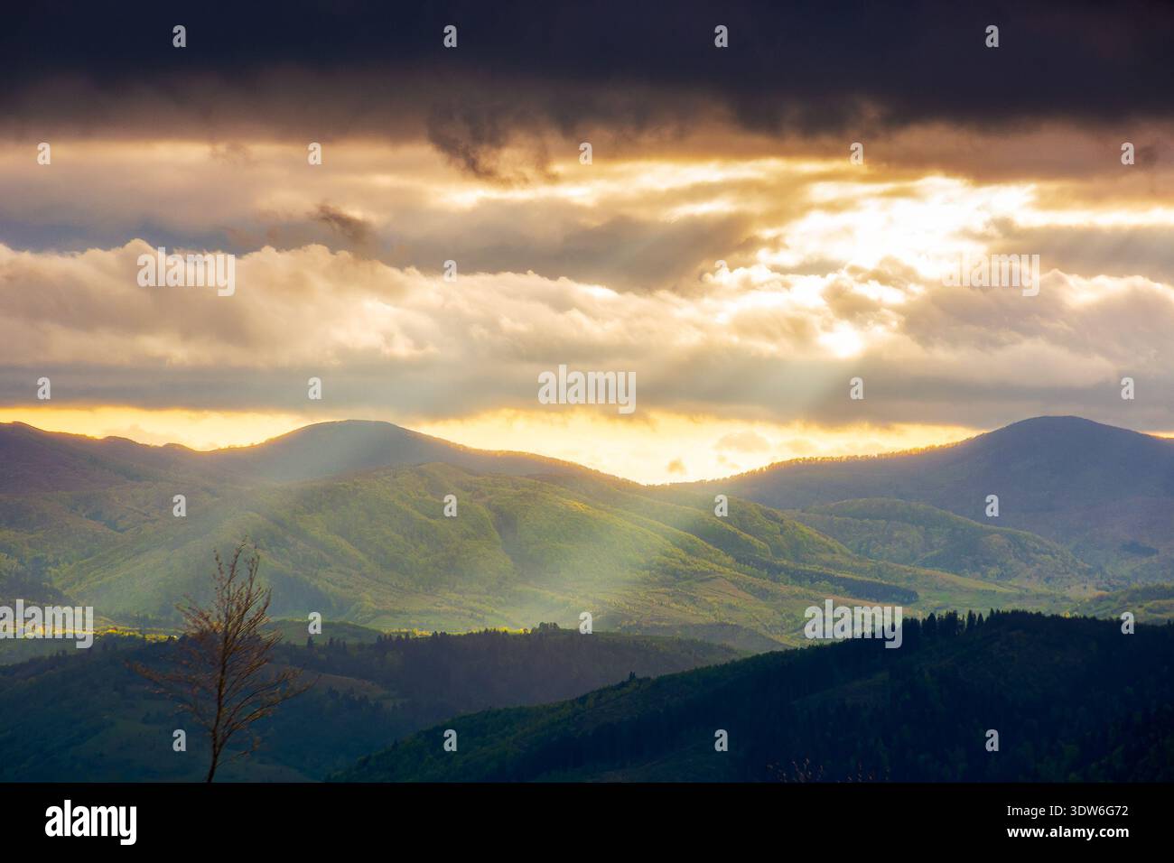 sunset over carpathian mountain landscape during spring. alpine scenery with god rays coming through clouds on rolling hills under overcast sky. ukrai Stock Photo