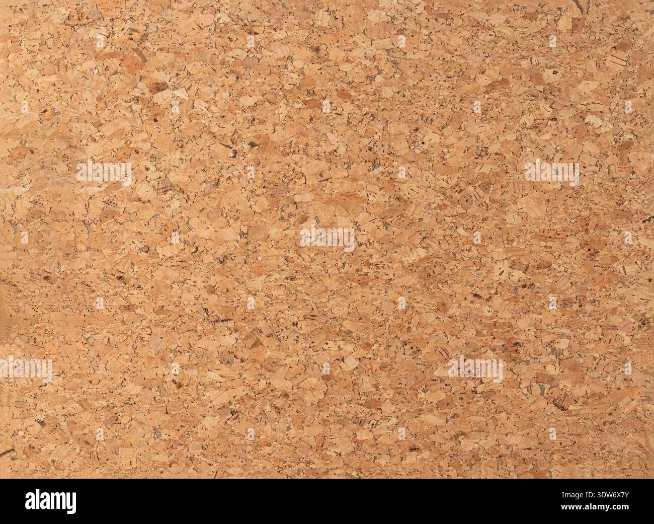 Cork board texture as background with copy space. Cork pattern. Stock Photo