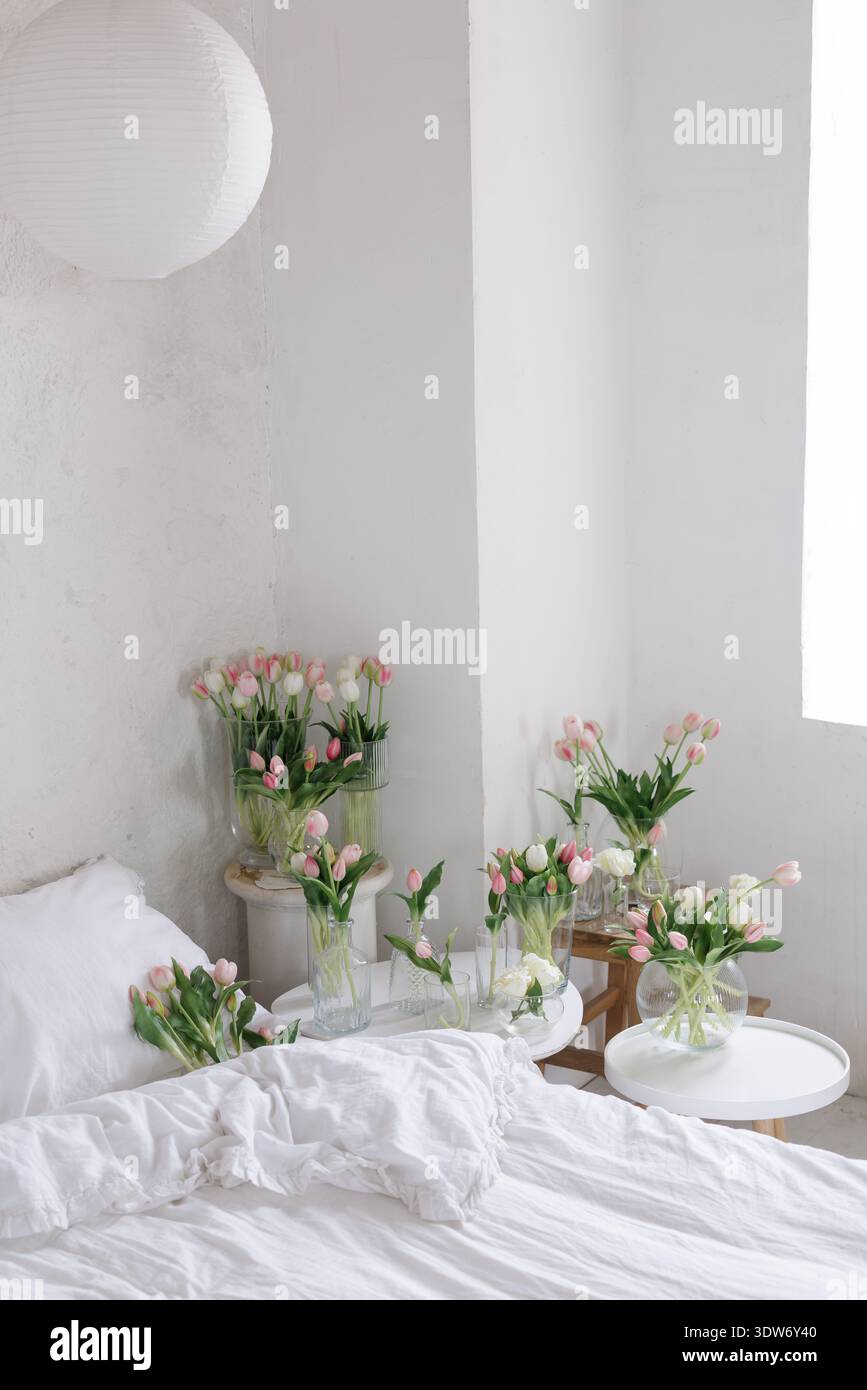 Multiple pink tulip bouquets in glass vases arranged around white bed in soft daylight. Fresh spring flowers creating airy minimalist bedroom Stock Photo