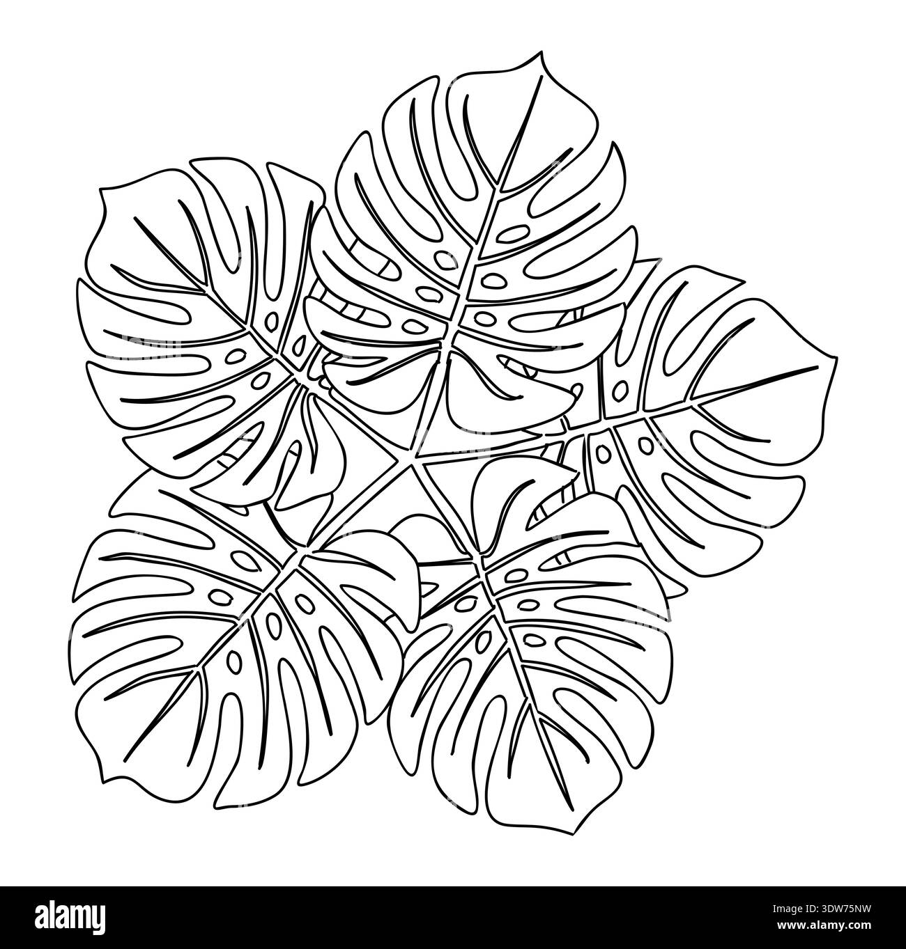 monstera dünger kaufen Monstera Dünger main image 0