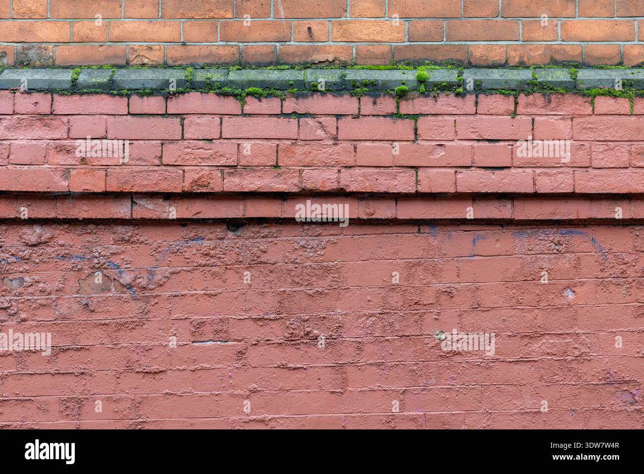 Multicolor Old Brick Wall Texture Background Stock Photo
