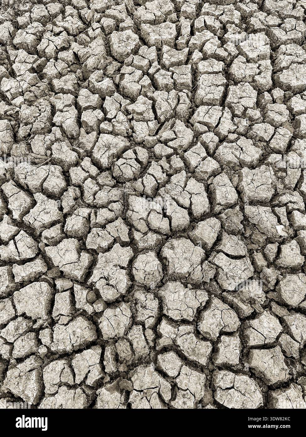 Dry Bed Grove Hill Reserve - Smartphone Captured Stock Image