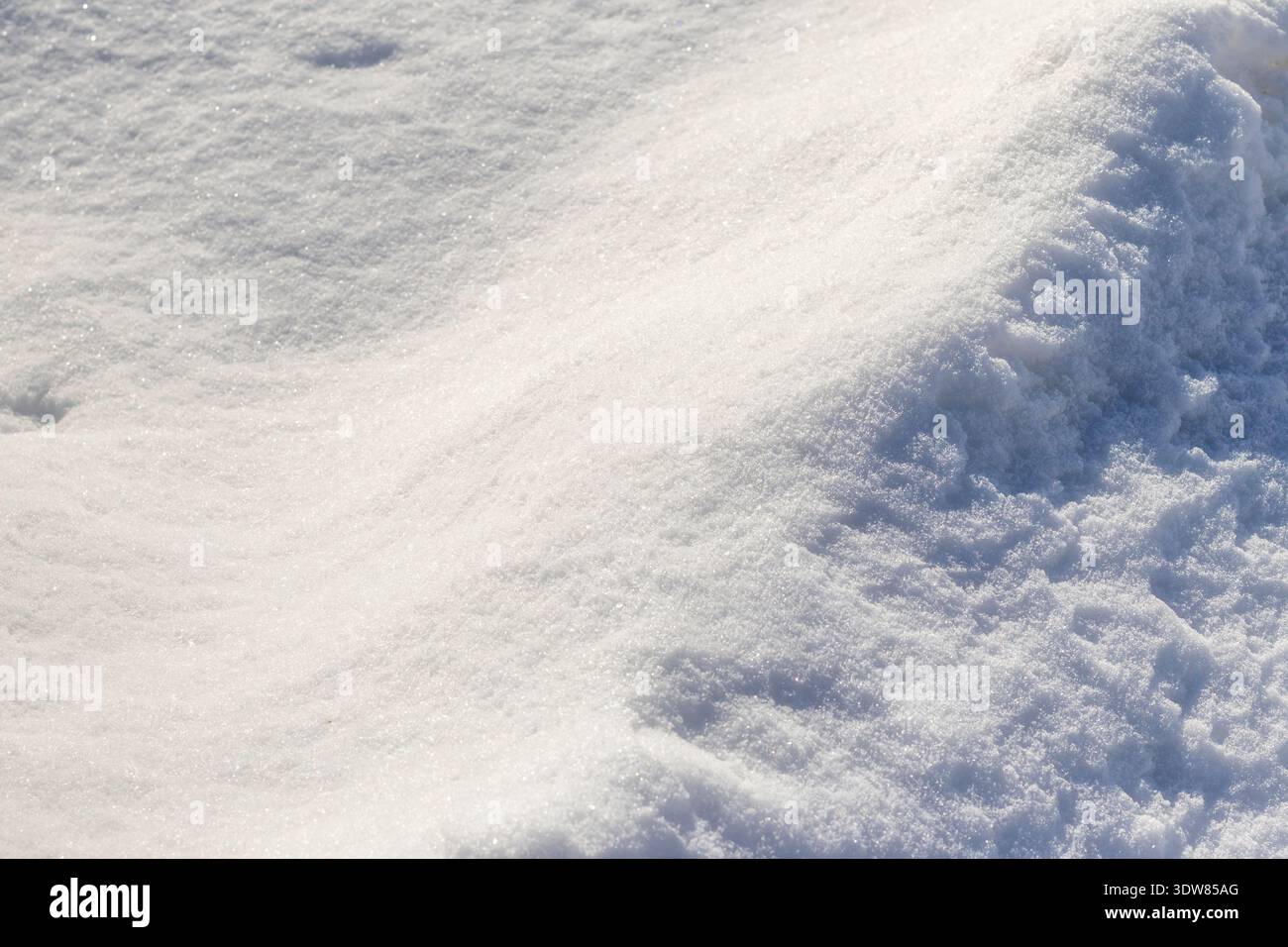 Animal tracks left in deep snow. Stock Photo